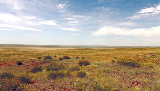 Жарминский район